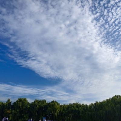 精灵总动员百度版下载